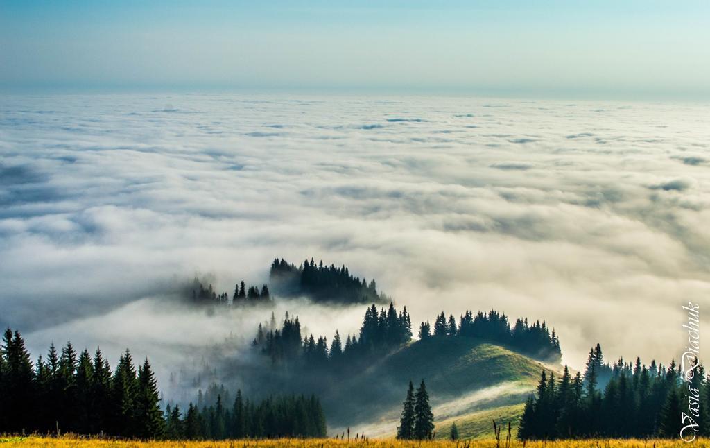 Sadyba Lileya Verkhovyna Buitenkant foto
