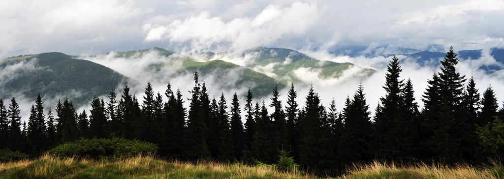 Sadyba Lileya Verkhovyna Buitenkant foto